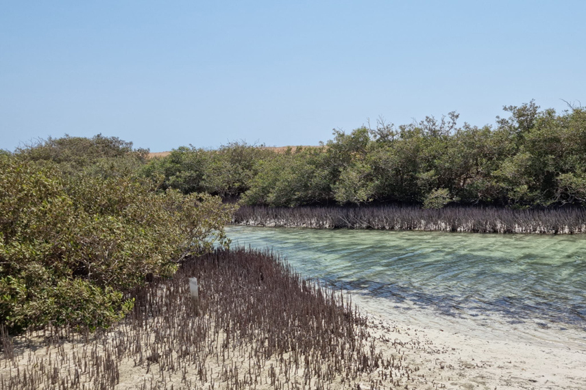 Adventure Day Ras Mohamed